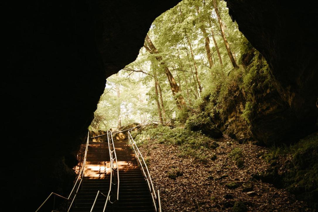 Mammoth Cave Lodge And Cabins Εξωτερικό φωτογραφία